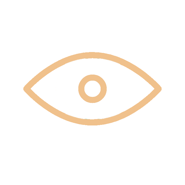 Visual icon