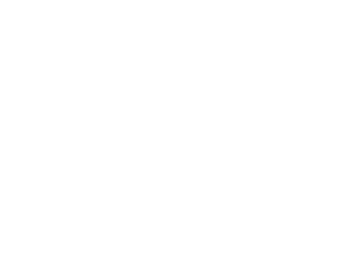 stefano logo